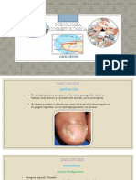 PATOLOGÍAS PODOLÓGICAS MÁS FRECUENTES ONICOFOSIS.pdf