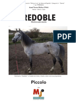 REDOBLE - Piccolo PDF