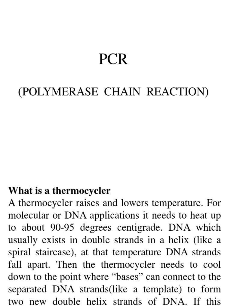PCR PDF | PDF | Polymerase Chain Reaction | Primer (Molecular Biology)