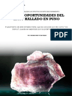 informe especial Litio en Puno.pdf