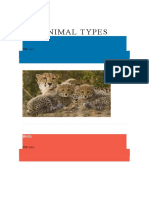 Animal Types: Mammals