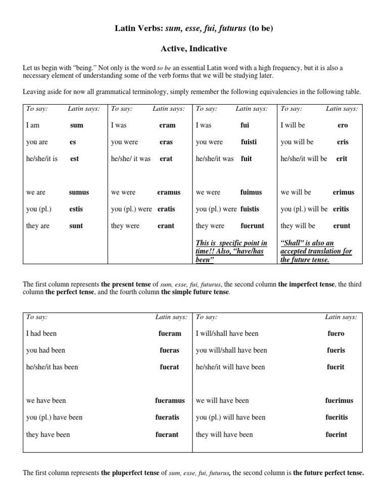 Sum Active Indicative Grammatical Tense Latin