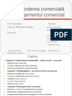 Intreprinderea Comerciala PDF