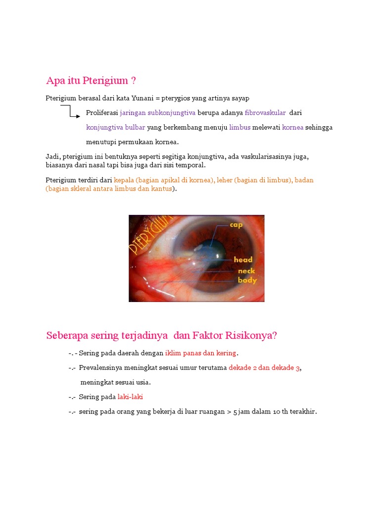Apa Itu Pterigium | PDF
