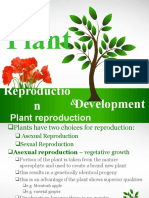Plant: Reproductio N Development