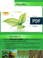 Photosynthesis