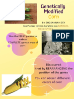 Genetically Modified Corn PDF