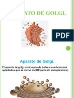 Aparato de Golgi.