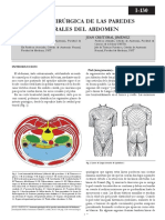 Anatomia Quirurgica de Las Paredes Anterolaterales Del Abdomen PDF