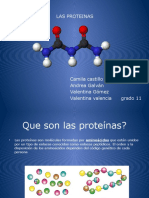 Las Proteinas Exposicion