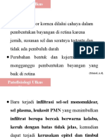 Patofisiologi.pptx