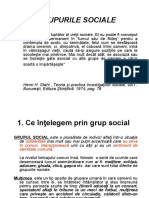 Cursul No.2 Grupuri Sociale 21 Octmbrie 2010