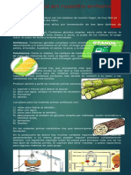 Eiam Ad Juca PDF