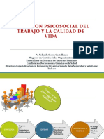 Dimensión Social Del Trabajo y C.V. PDF