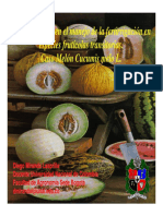Fertirrigacion en Melones PDF