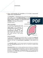 ACD 15 - Pericardium & External Heart