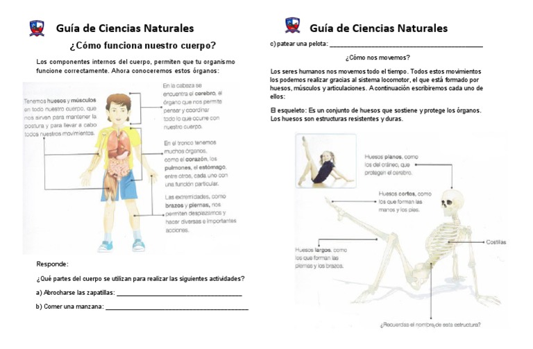 Ciencias Segundo Basico Pdf