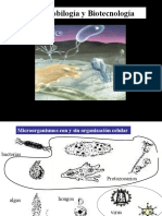 III-microorganismos