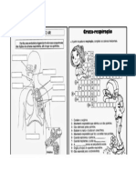 Atividade sobre sistema respiratório