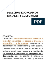 Derechos Economicos Sociales y Culturales