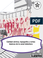 MF AA3 Calidad Carnica Topografia y Cortes Basicos de Canal Delantera PDF