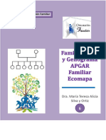 Familiograma_Genograma_APGAR_familiar_y_Ecomapa_Familiar