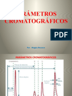 Presentación - Parametros Cromatograficos