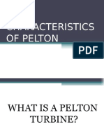 Main Characteristics of Pelton