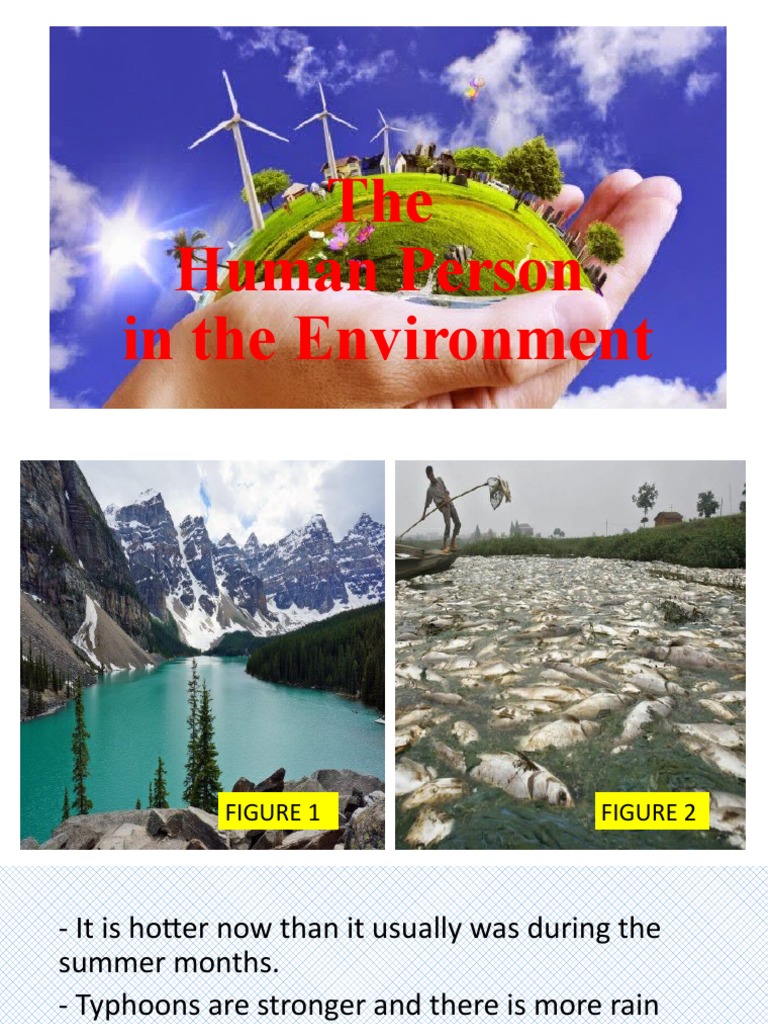 The Human Persons in Their Environment | PDF | Sustainability | Natural ...