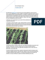 Agricultura Biointensiva