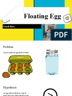 The Floating Egg 1