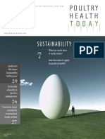 Sustainability: Today