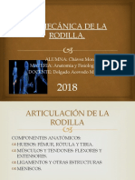 Biomecanica de La Rodilla