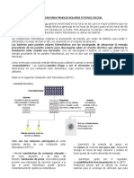 Baterías solares almacenan energía fotovoltaica