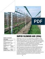 Lang - Super Slender Axe - SSA - RO PDF