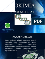 Anrie Sundy - Asam Nukleat
