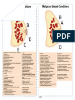 Benign Breast Conditions Malignant Breast Conditions: A: Breast Tissue. Connective Tissue, Fat Tissue