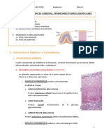 TEMA 10 insuficiencia adrenal y sindromes pluriglandulares.docx