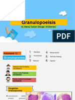 Granulopoeisis 12