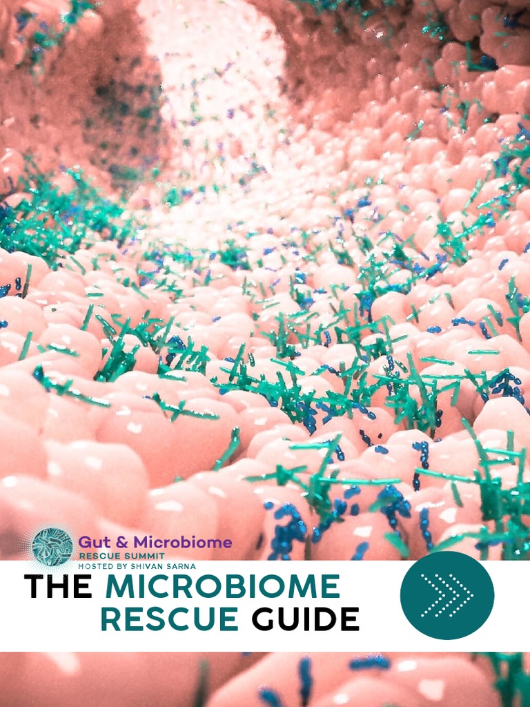 Microbiome Rescue: THE Guide | PDF | Obesity | Biology