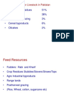 Fodder Crops of Pakistan