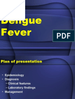 Dengue Fever 4
