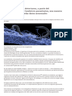 Científicos israelíes detectaron, a partir del comportamiento de lombrices parasitarias, una manera desconocida de heredar datos neuronales