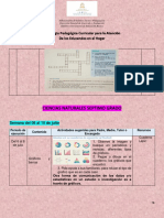 Estrategias CCNN 7° Grado JULIO