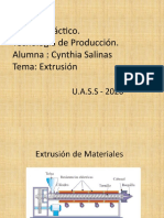 TP Nº 3 Extrusión  - Cynthia Salinas.pptx