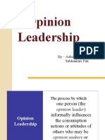 opinion leadership.pptx