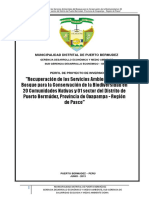 Municipalidad Distrital de Puerto Bermudez: Perfil de Proyecto de Inversion