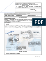 393165471-13-Analisis-Fisicoquimica-de-La-Orina-1.pdf
