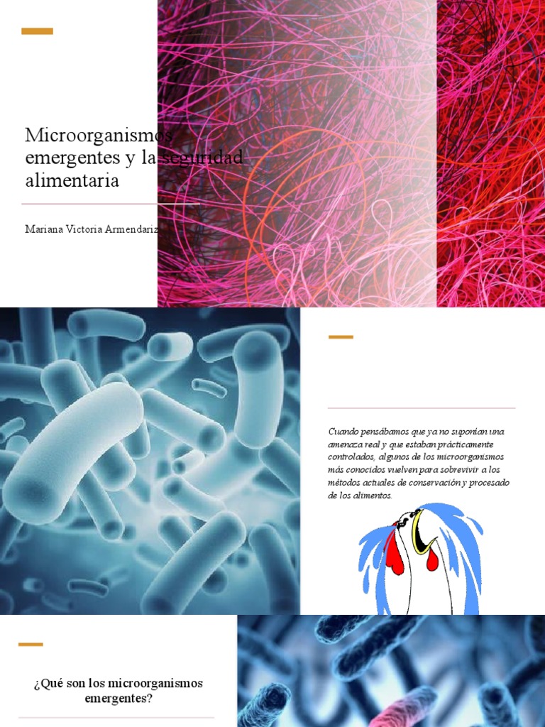 Microorganismos emergentes y alimentos | PDF | Análisis de Riesgo y ...