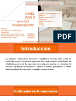 E.D. Indicadores Financieros o Ratios Financieros